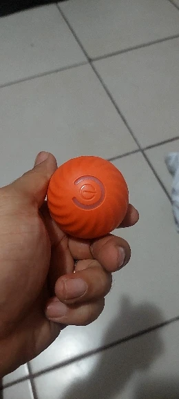 Interactive Dog Ball – Automatic Bouncing and Vibrating Toy for Energetic Puppies photo review