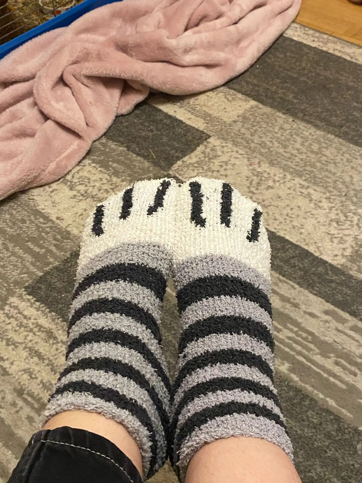 Cat Claw Socks - Christmas Promotion