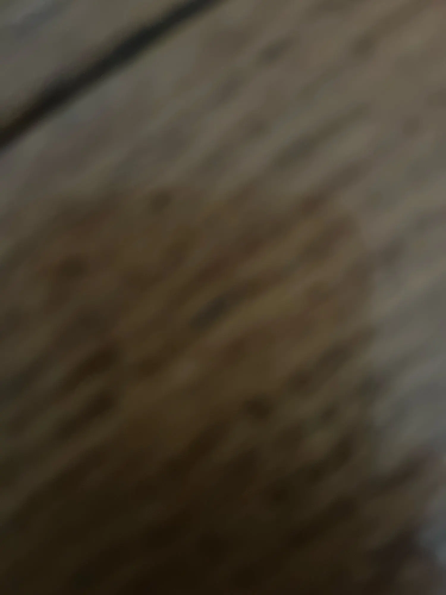 Kids' Embroidered Sleeveless Shirt and Shorts Set photo review