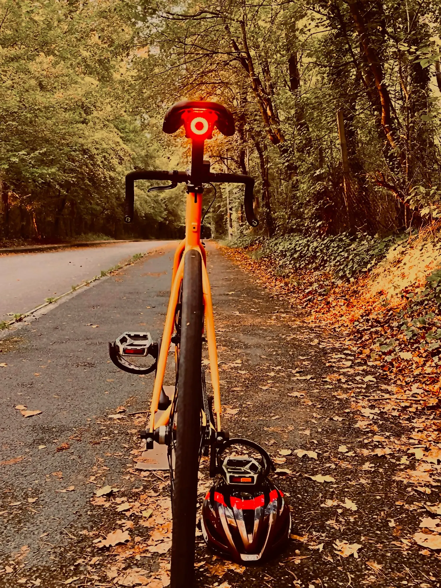 Bike Rear Tail Light IPX6 Waterproof Type-C Rechargeable Safer Night Ride photo review