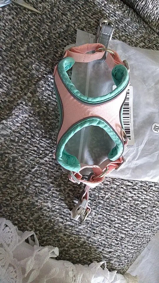 Customer photo