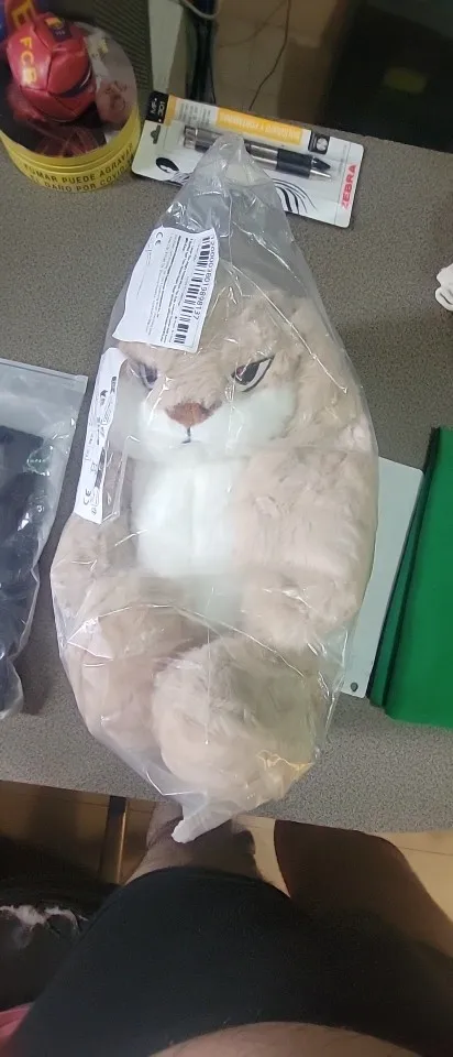 Angry Rabbit Plush Toy, customer photo