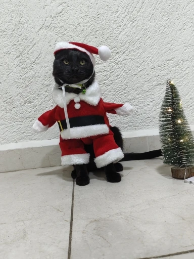 Funny Christmas Santa Claus Costume for Small Cats and Dogs - Get Your Pet in the Holiday Spirit with Festive Winter Outfits photo review
