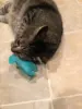 Изображение товара 5