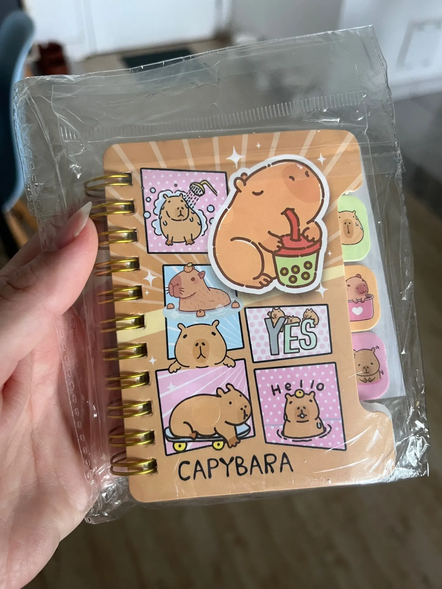 Capybara Notebook Collection photo review