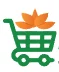 IndianExpress Store