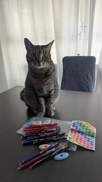 100 unids/set Kawaii recarga borrable bolígrafos borrables bolígrafo de Gel boceto escritura papelería para cuaderno útiles escolares lindo lápiz para niños photo review