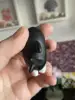 Изображение товара 4