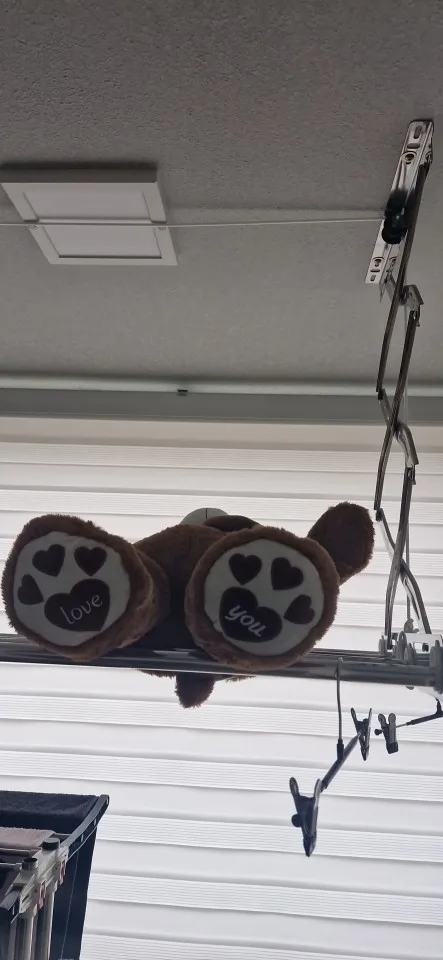 Teddy Bear With Scarf photo review