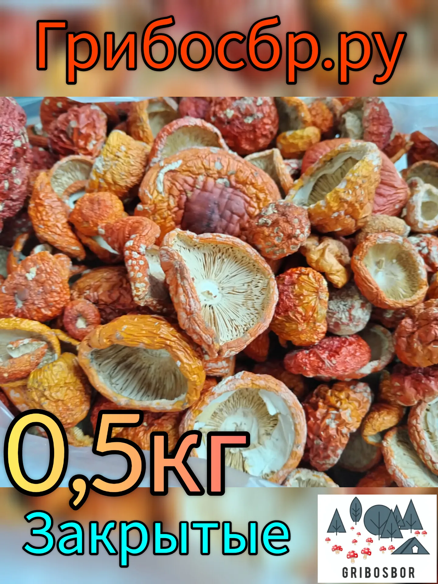 Мухомор красный сушеный