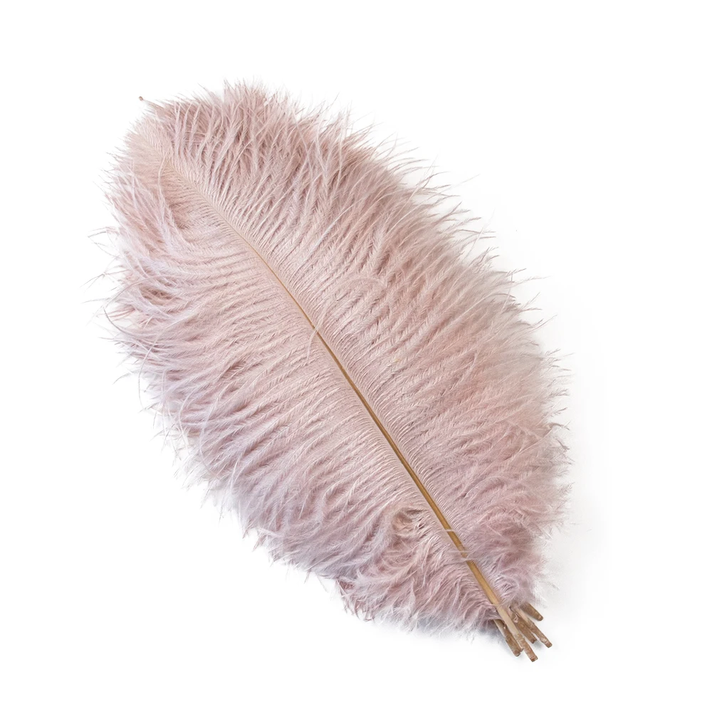 thumbnail image 1 of 10 piezas/lote de plumas de avestruz naturales de color rosa rojo para manualidades, decoración de bodas, fiestas, accesorios, centro de mesa, carnaval, 1 of 5