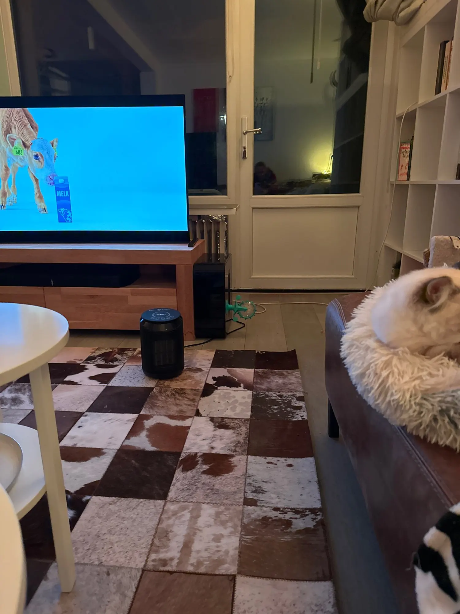 Paw Puzzle, Interactive Treat Dispenser for Cats and Small Dogs, Boosting IQ and Fun photo review