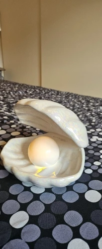 Shell Night Lamp