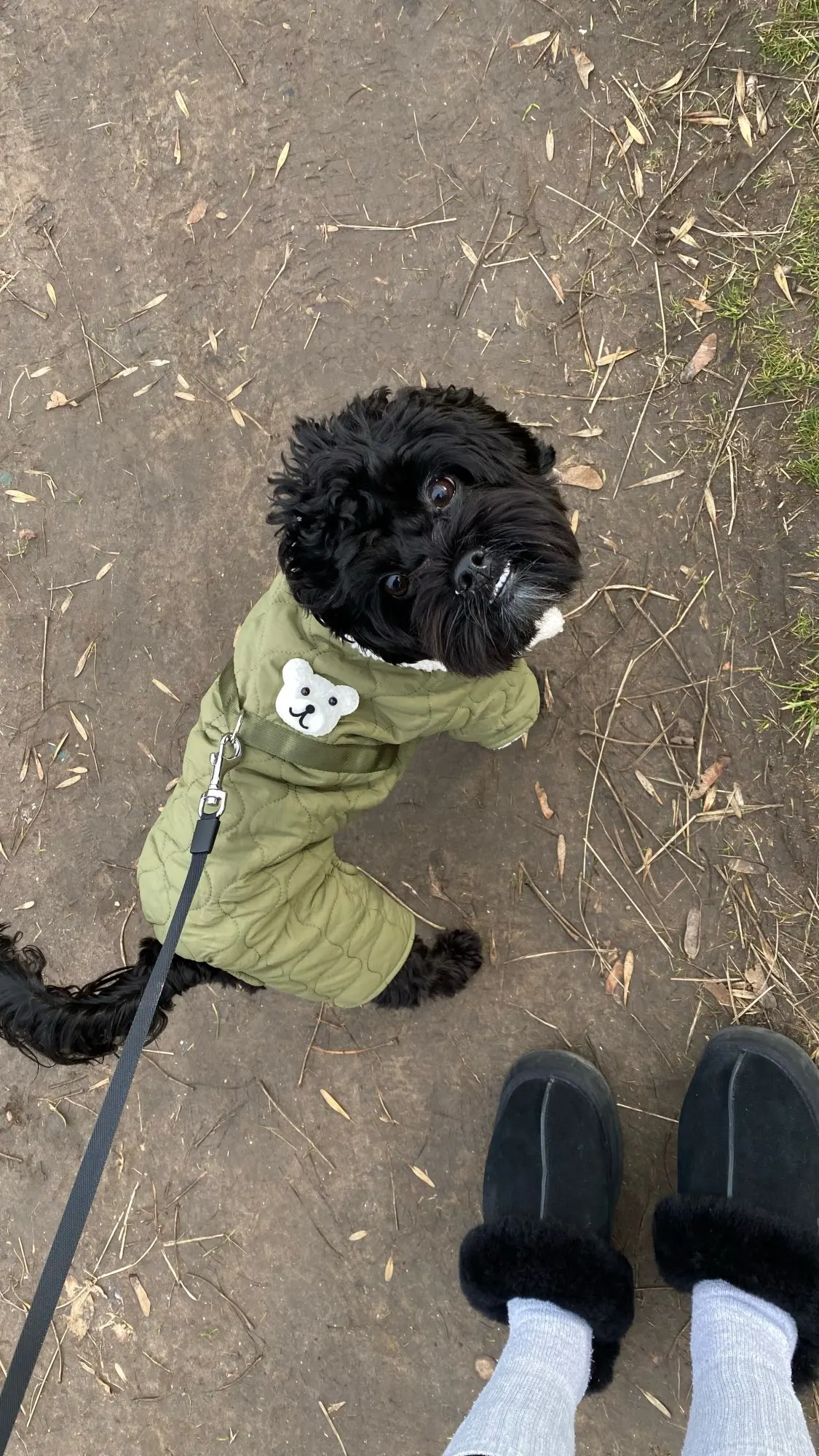 Teddy Warm: Stylish Winter Coat for Your Furry Friend photo review