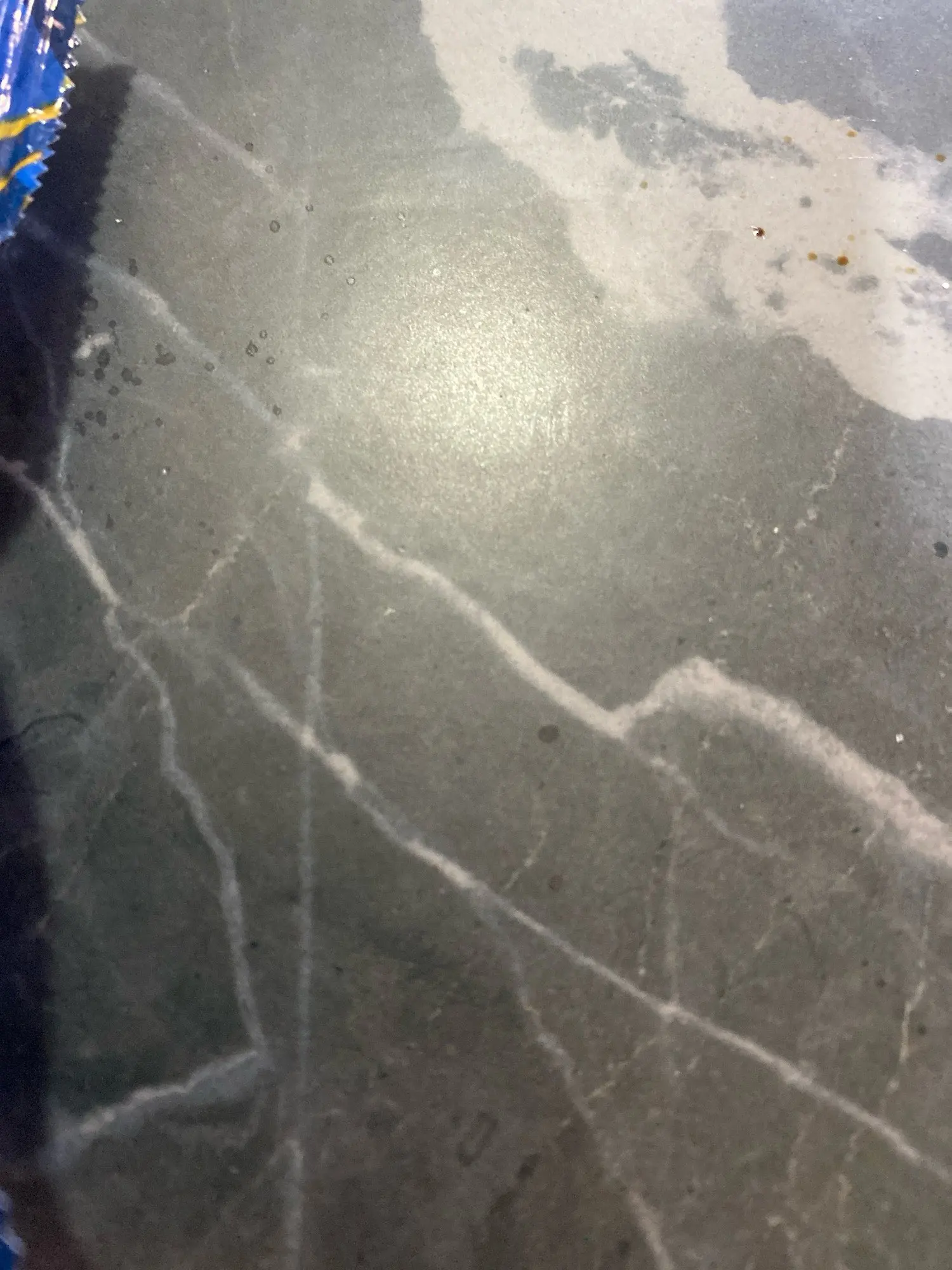 Cozy Cove, Winter Warm Cat Bed House for Deep Sleep Comfort photo review