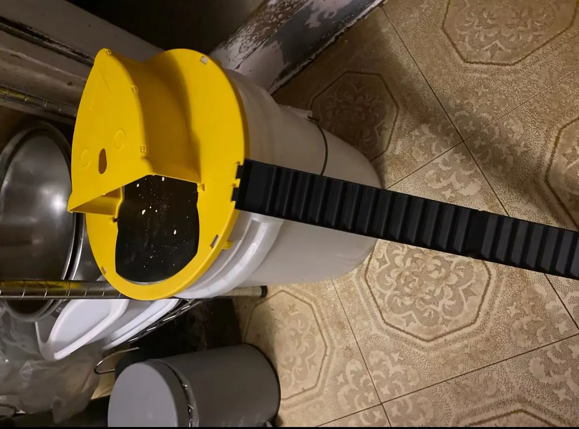 MultiCatch Mouse Trap: Humane & Lethal Mice Solution photo review