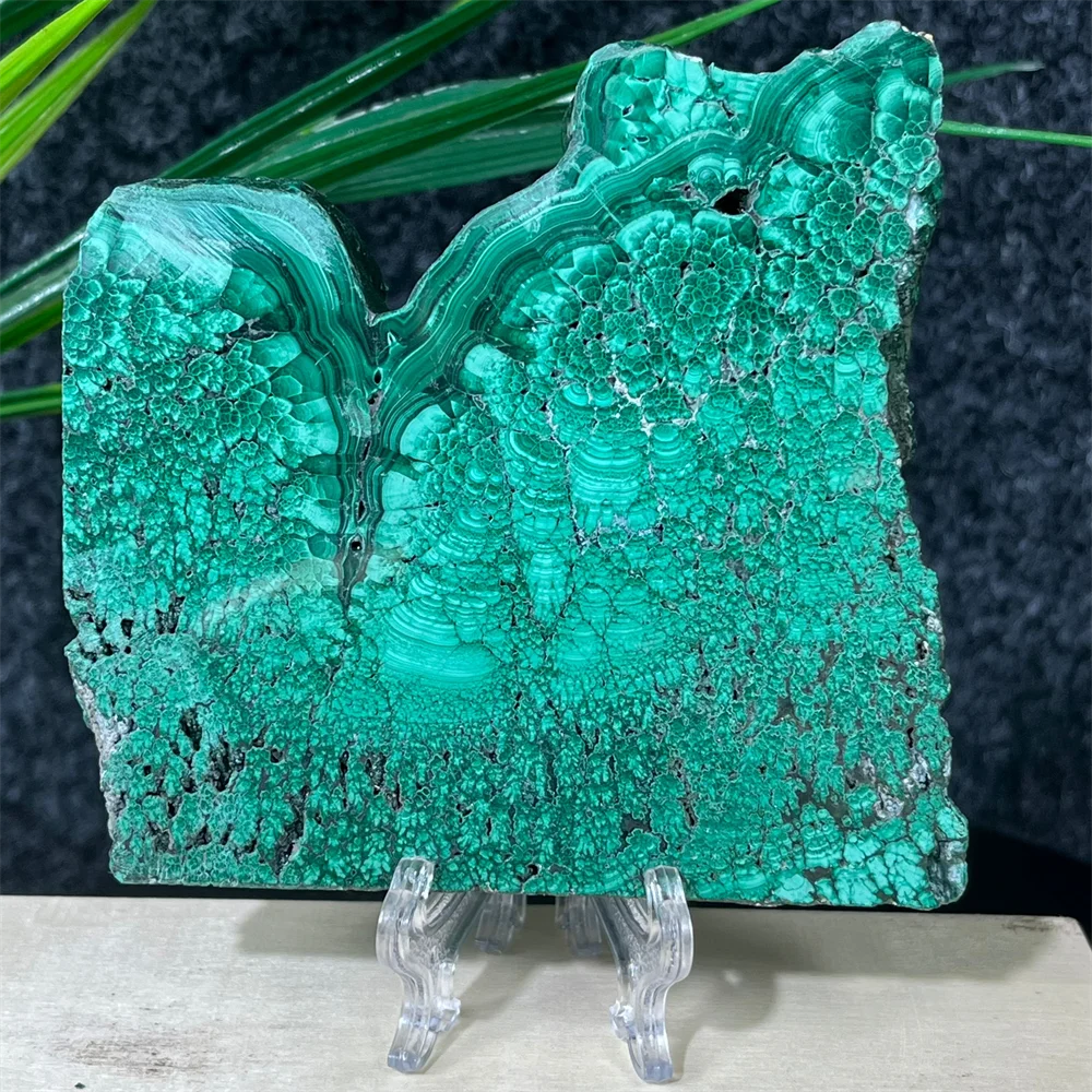 

Crystal Natural Malachite Slab Slice Green Quartz Beauty Minerals Spiritual Reiki Living Ornaments Home Decoration +Stand