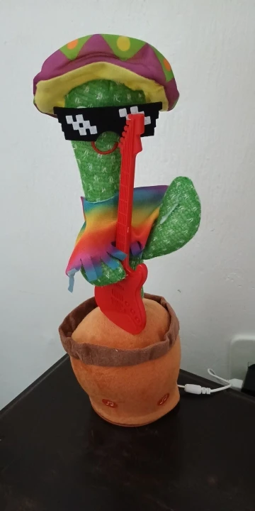 Intelligent Cactus Interactive Learning and Musical Toy for Kids to Dance Record and Speak with Fun photo review