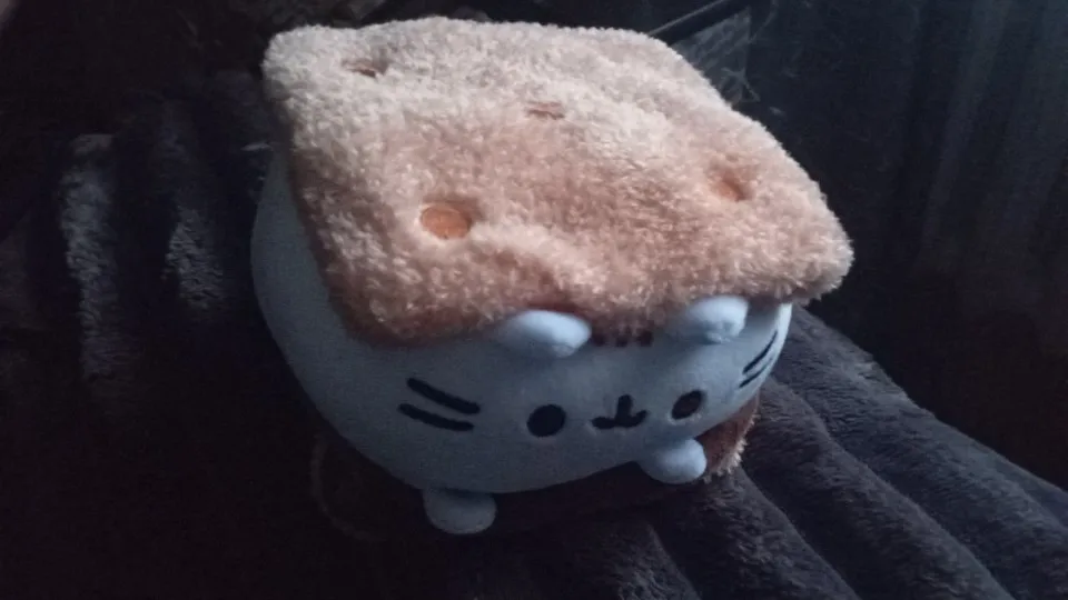 Pusheen Plushies - Dessert Edition photo review