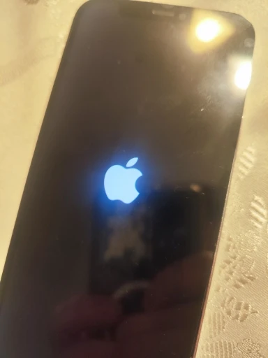 PINZHENG Battery For iPhone X XR XS 11 12 13 Mini Max Pro Promax Real High Capacity Replacement Bateria Warranty One Year photo review