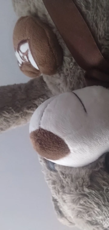 Teddy Bear Plush Toy photo review