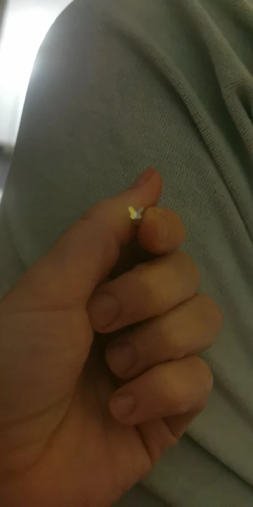 Nuevos pendientes de corazón para mujer, hipoalergénicos, uso diario, minimalista, estrella bonita, Color plata, oreja, joyería Pierc para niñas, regalos photo review
