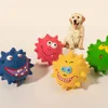 Cute Squeaky Pet Dog Interactive Chew Halloween Toy Puppy Bite Resistant Thorn Tooth Cleaning Toy Molar Chew Toys for Dogs Suppl
