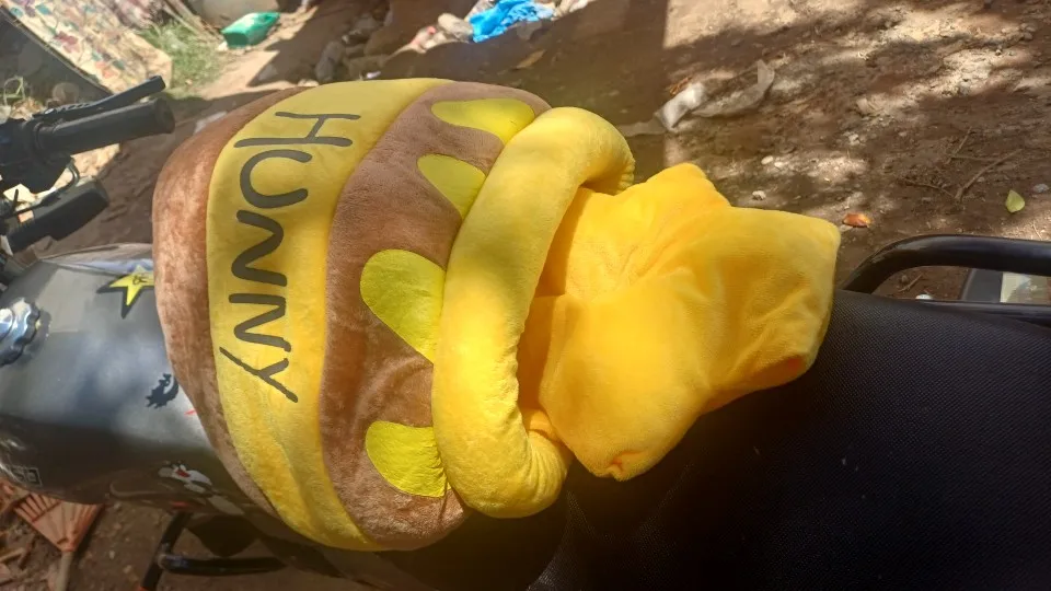 Honey Haven: Cat Bed House with Removable Plush Mat in Honey Jar Shape photo review