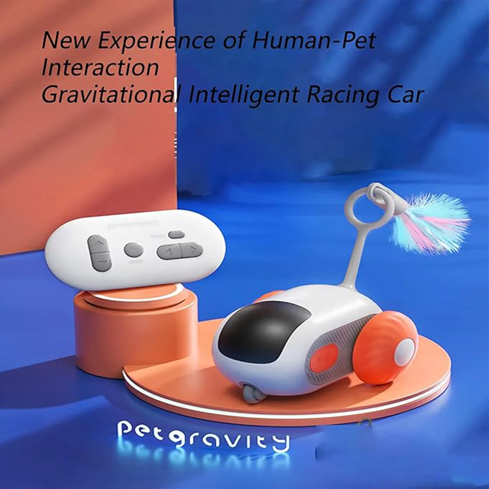 Cat chasing the toy car
