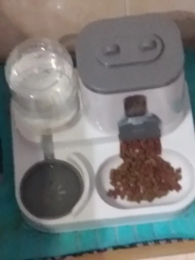 Automatic Feeder Dog Cat Food Bowl With Water Fountain Large Capacity Pet Food Storage Dispenser Container Puppy Pet Accessories photo review