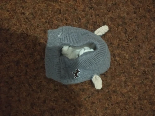 CalmEars – Lärmschutz und Wärme für entspannte Hundeohren photo review