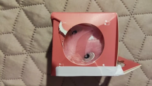 Smart Cat Squeak Ball photo review