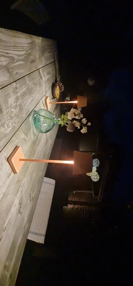 Retro Aluminum Table Lamp, USB Charging, Dimmable, Waterproof for Indoor Decor and Outdoor Camping photo review