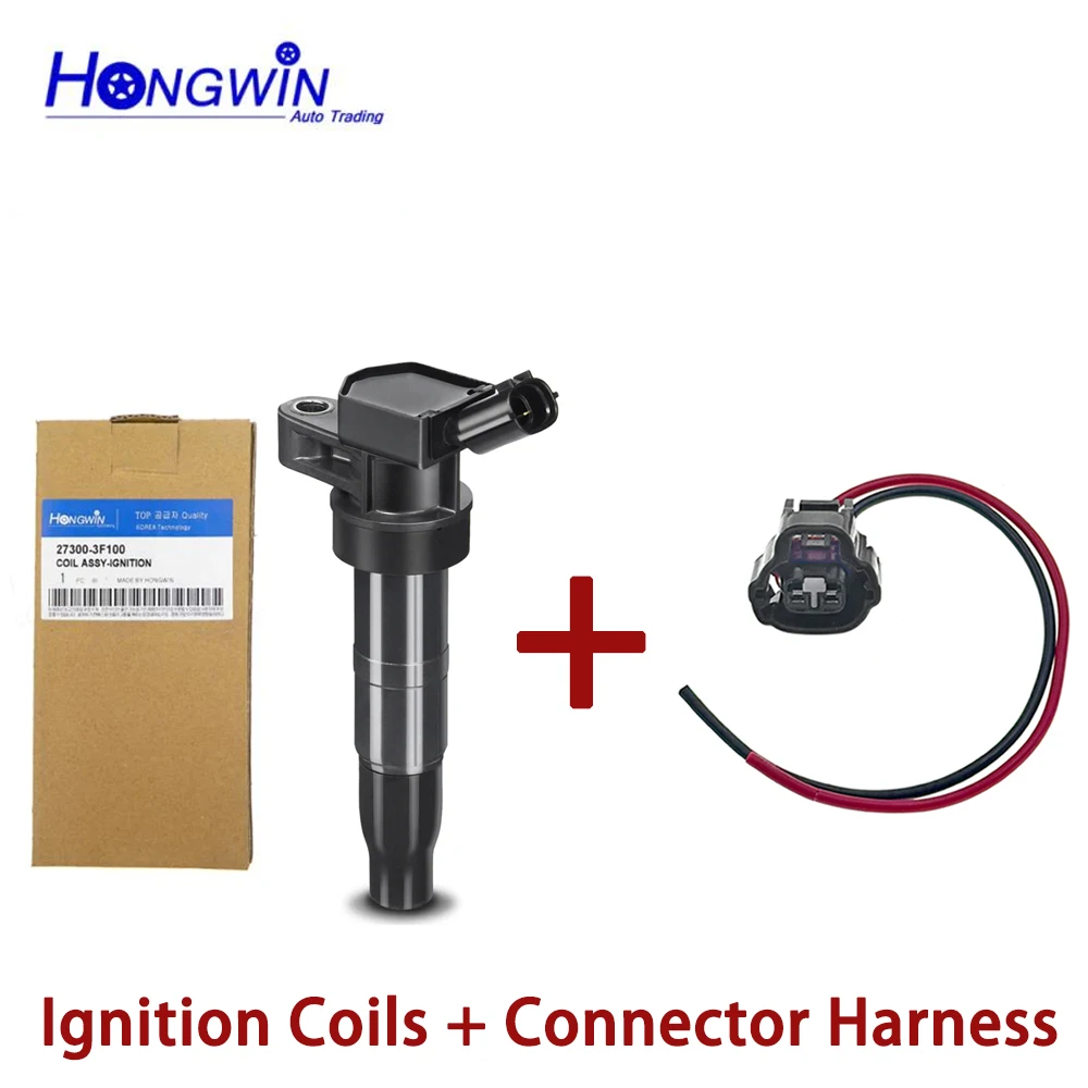 Coil and Plug