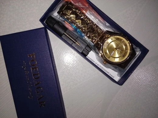 POEDAGAR Luxury Man Wristwatch photo review