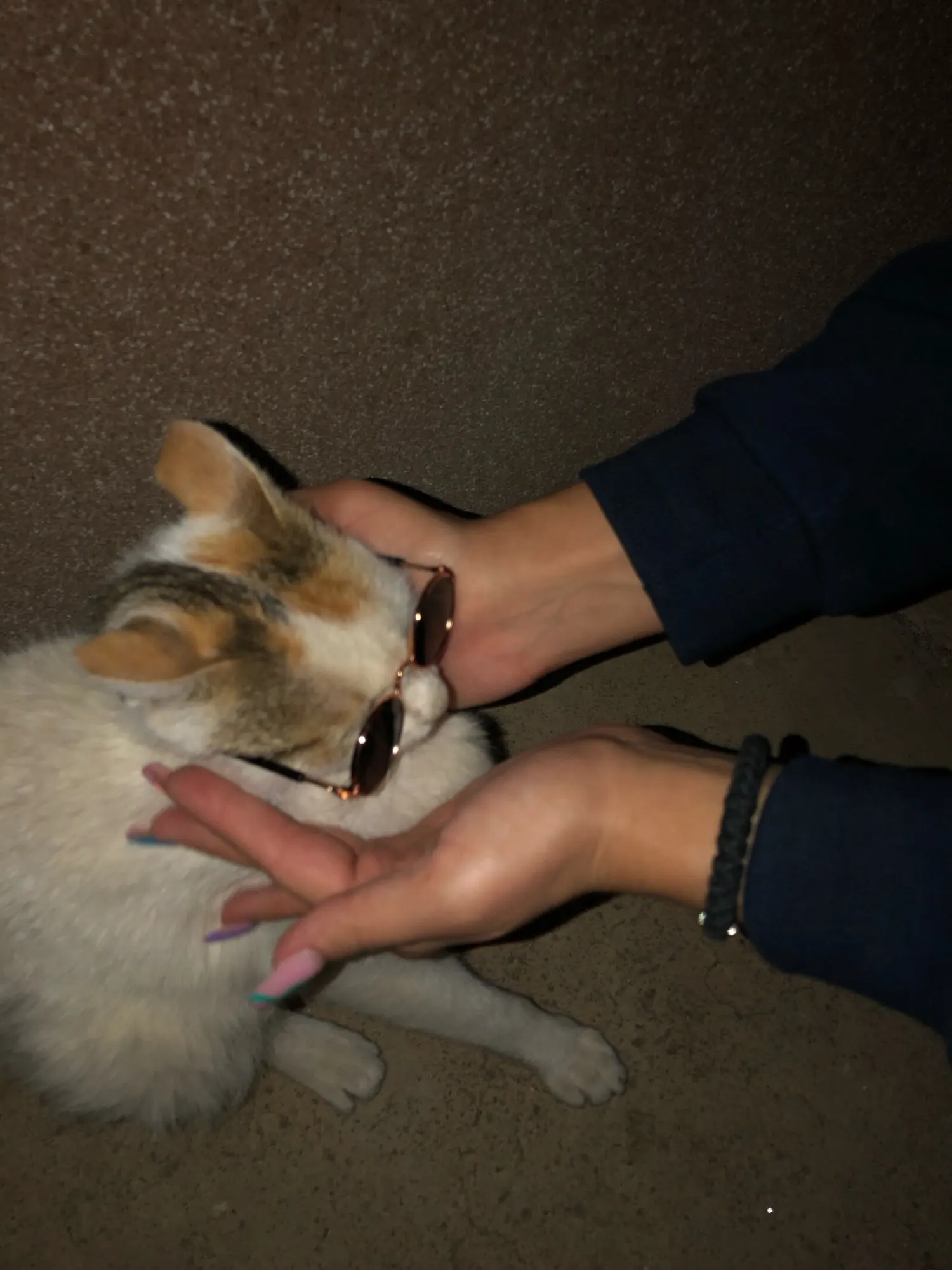 Pet Products Lovely Vintage Round Cat Sunglasses Reflection Eye wear glasses For Small Dog Cat Pet Photos Props Accessories