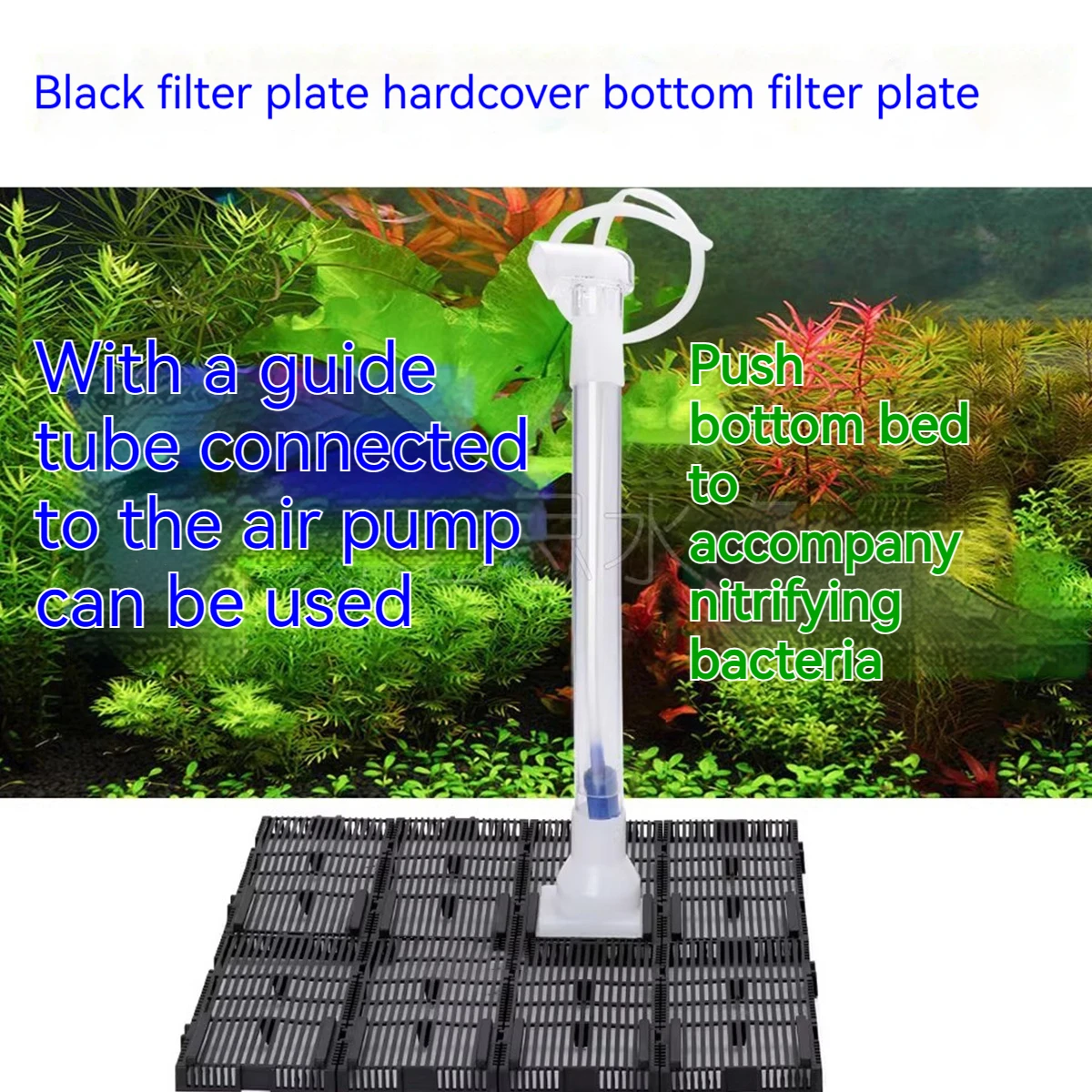 Visual Reference: Aquarium Bottom Grid With Oxygen Filtration System Fish Tank Bottom