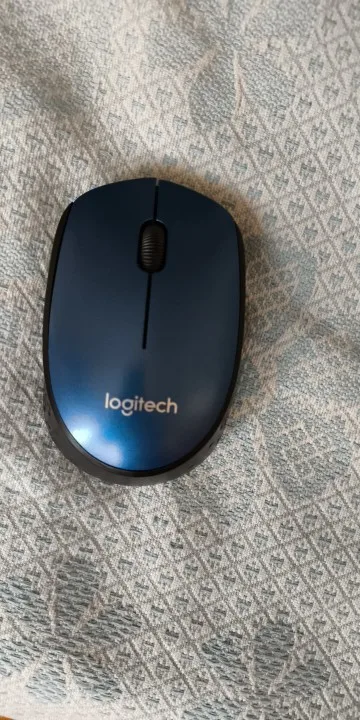 Logitech M170 Wireless USB Optical Office Home Mouse photo review