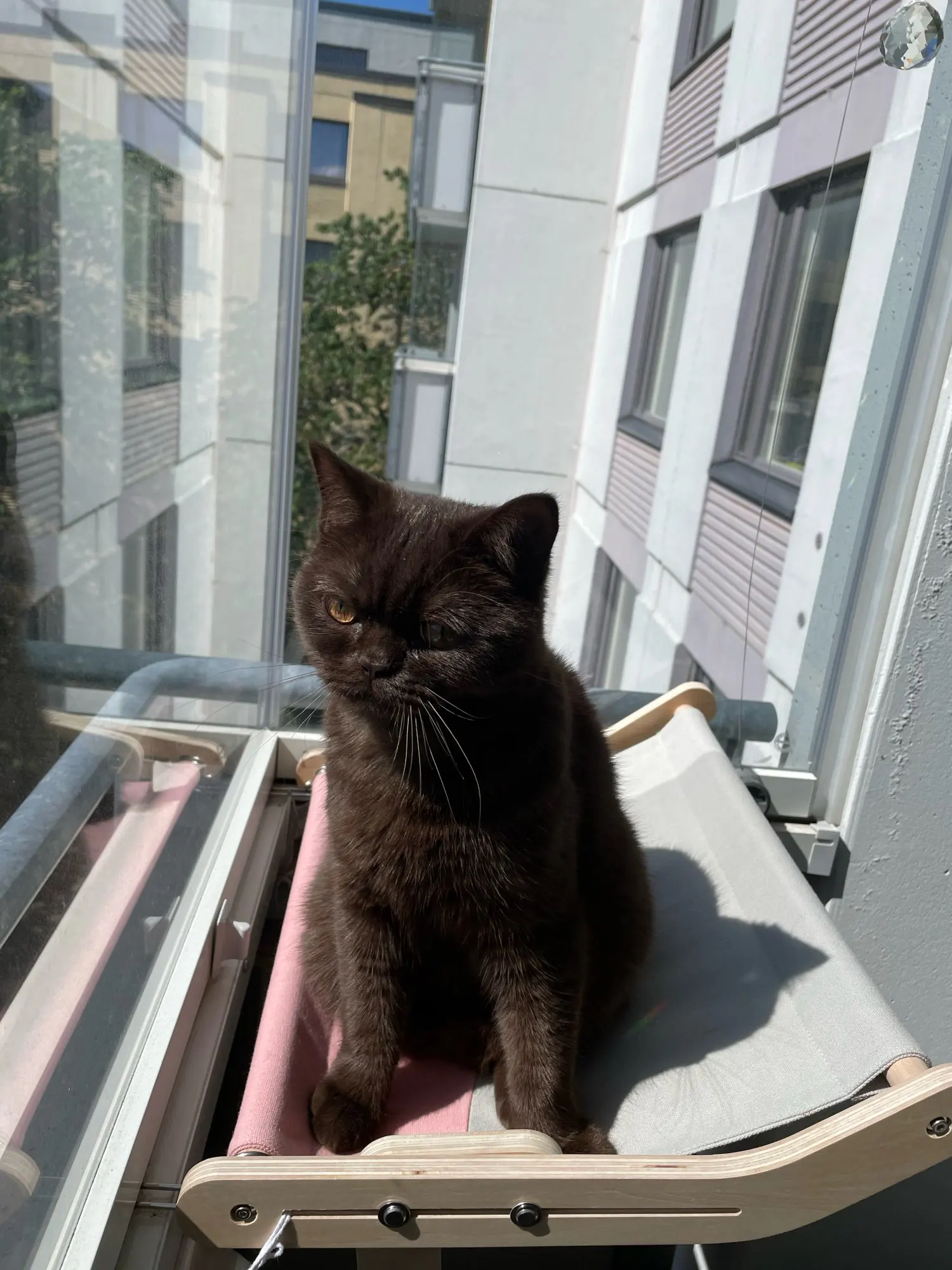 Attachment image review on Androf Cat Bed