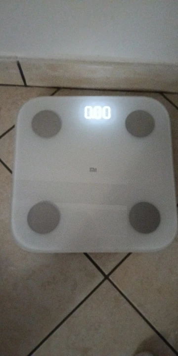 Xiaomi Body Composition Scale S400 photo review
