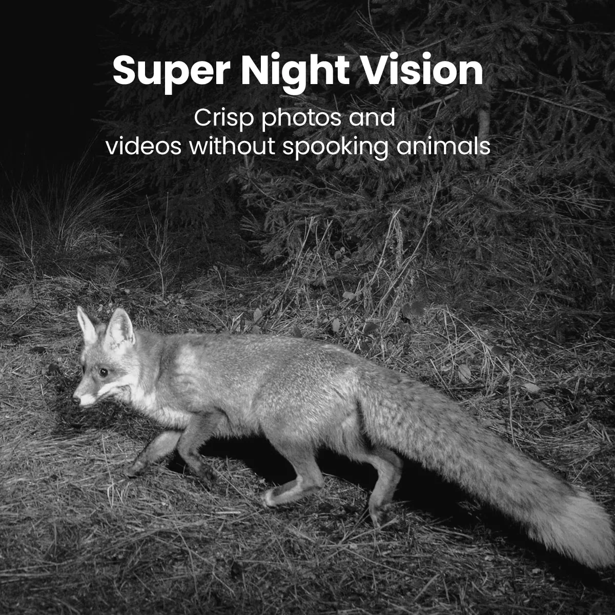 Wild Trail Camera Infrared Night Vision Motion Wildlife Camera Monitor Weatherproof Tracking Surveillance Photo Traps 6