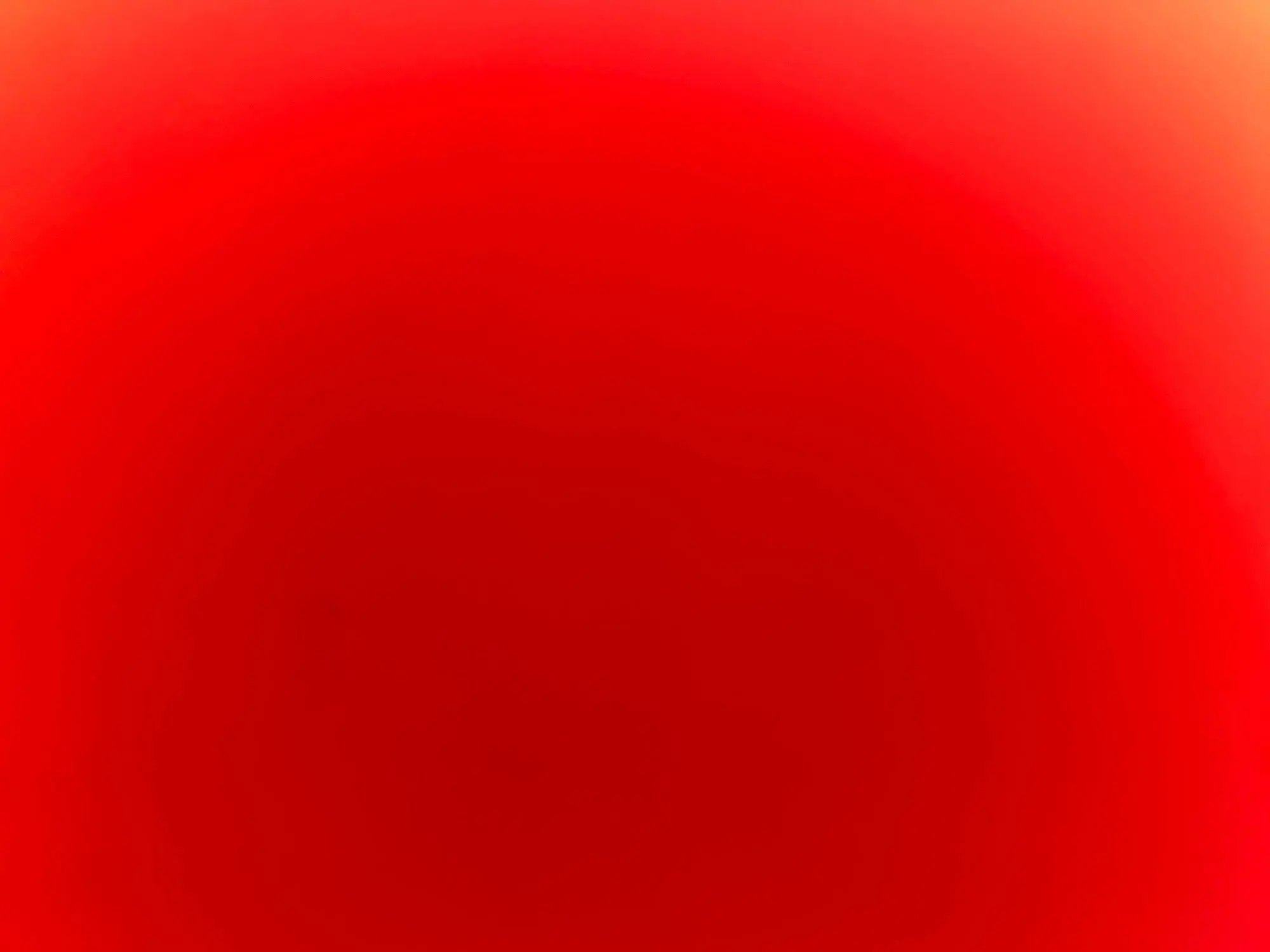 Elegant Long Headband Yellow Floral Silk Scarf photo review