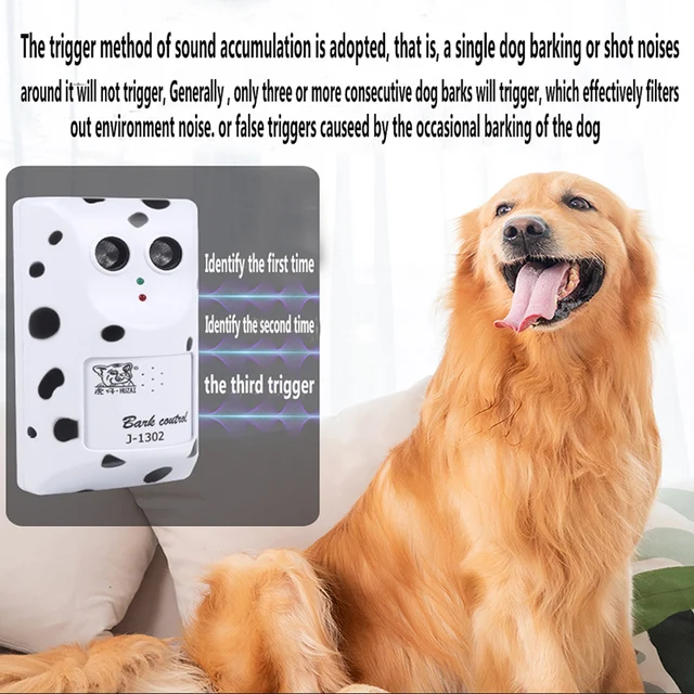 Barking Behavior Best Way To Get A Dog To Stop Barking Best Dog