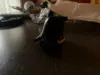 Изображение товара 3