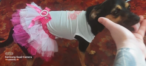 Cute Puppy's Cotton Princess Dress besides Multiple Sizes And All Seasons Comfortable For Small Lovely Dog Pets