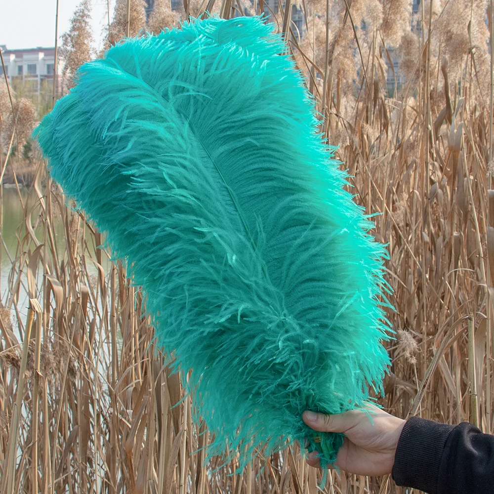 Ostrich Feathers Home Vase Accessories  Vase Wedding Decoration Feathers -  10pcs - Aliexpress