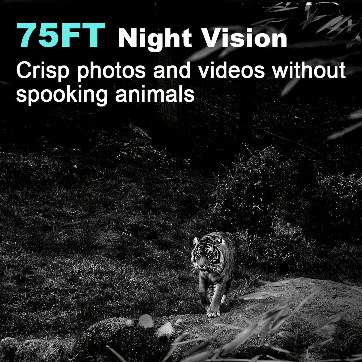 Рисунок 2 - водонепроницаемая камера для наблюдения