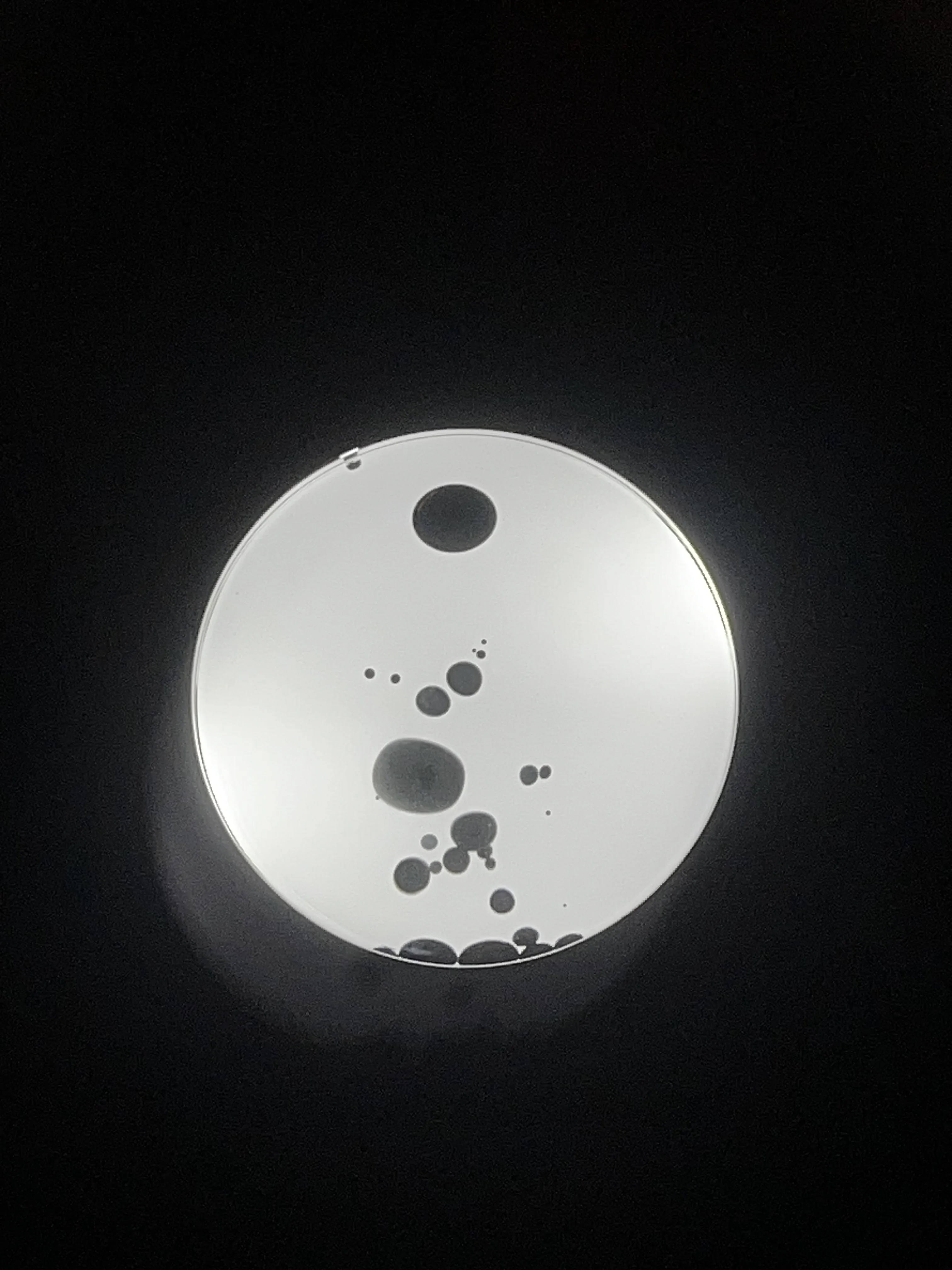 Frekvens-Magnetic Fluid Pickup, Venom Music Rhythm Light, Visualized Desktop, Trendy Ornament, Dance Liquid with Music, Gift Toy photo review