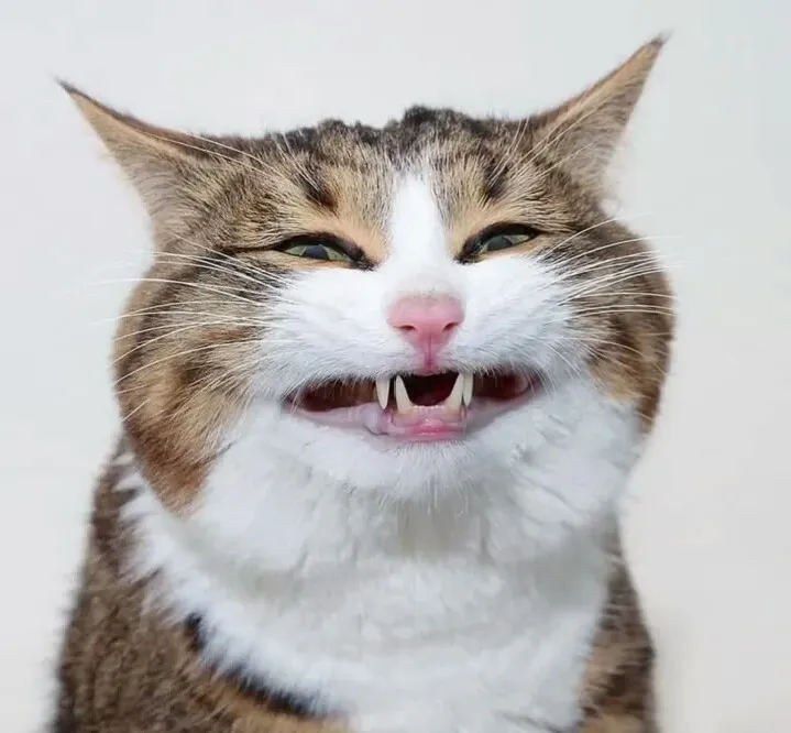 Acendedor Fogão Churrasqueira Isqueiro Eletrônico Recarregável USB - Neverdie Store photo review