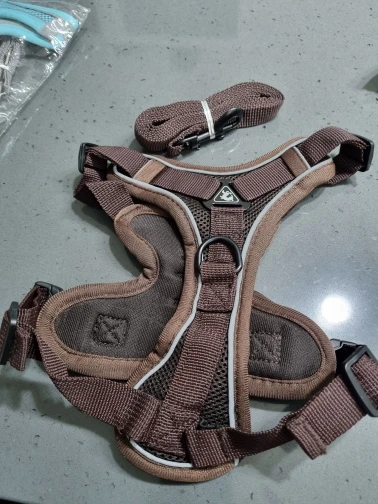 Halsband - Verstellbar, Reflektierend & Komfortabel für kleine Hunde und Katzen photo review